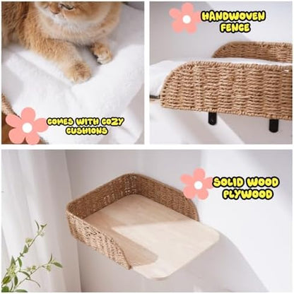 SHENGOCASE 2-Pack Wooden Cat Wall Bed with 3 Steps