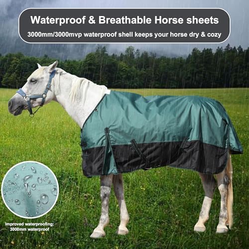 1200D Horse Blanket, 200g Medium Weight Waterproof Winter Turnout