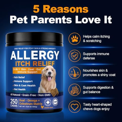 Dog Allergy Chews,is Omega 3 Human,Anti Itch Relief for Dogs Itching Skin Relief and Aller Immune Pet Multivitamin Allergy Chews Coat Licking Supplement Pills Meds Treats 250 Bites for Dogs