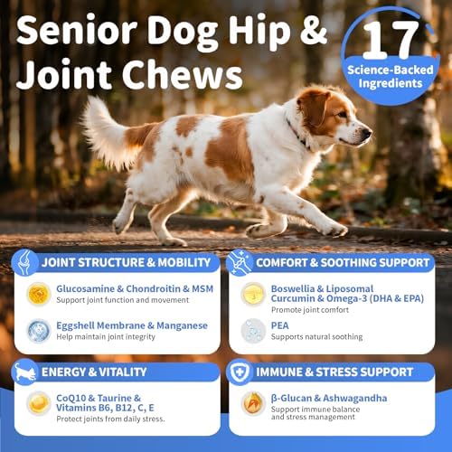 Senior Advanced Joint Supplement for Dogs – 17-in-1 Glucosamine for Dogs with Chondroitin – Hip & Joint Pain Relief Pills – Mobility Support Chews – Large & Small Breeds - Chicken Flavor – 90Ct