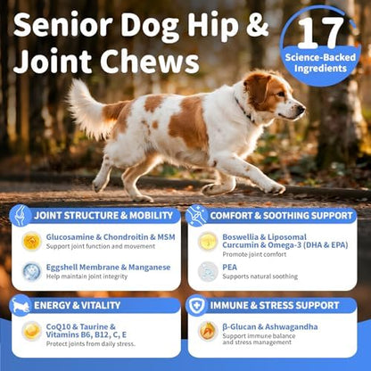 Senior Advanced Joint Supplement for Dogs – 17-in-1 Glucosamine for Dogs with Chondroitin – Hip & Joint Pain Relief Pills – Mobility Support Chews – Large & Small Breeds - Chicken Flavor – 90Ct