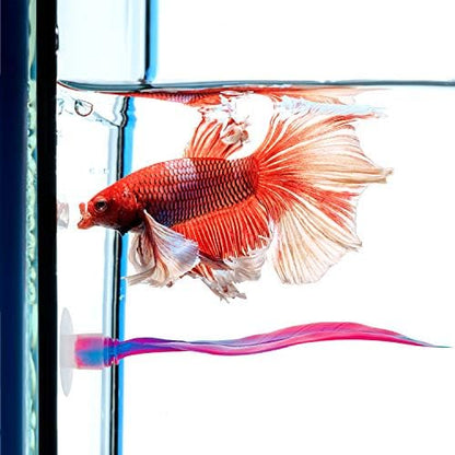 Willbond 2 Pcs Pink Betta Fish Leaf Hammock Aquarium Tank Accessories