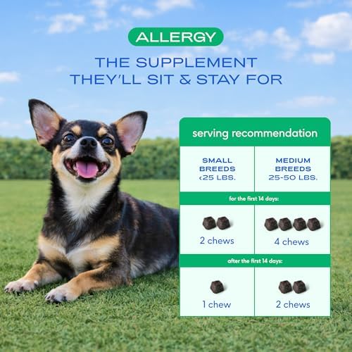 Native Pet Dog Allergy Chews for Medium Breeds - Itchy Skin and Seasonal Itch Support - Colostrum, Probiotics, Spirulina - 30 Chews