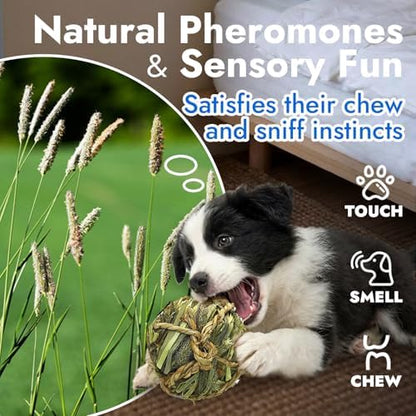 Natural Dog Chew Toy, 1pcs Woven Grass Chew Ball for Dogs, Dental Teething Toy & Interactive Fetch Toys, Outdoor Rattan Digestible Chew Ball for Boredom Relief - Seaweed & Timothy Hay