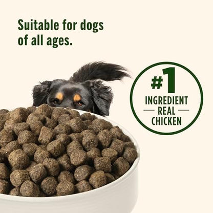 Nutrish Grain Free Chicken Dry Dog Food, 13 lb. Bag, (Rachael Ray)
