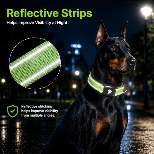 GPS Dog Collar with Tracker, Waterproof, No Monthly Fee, Green, L