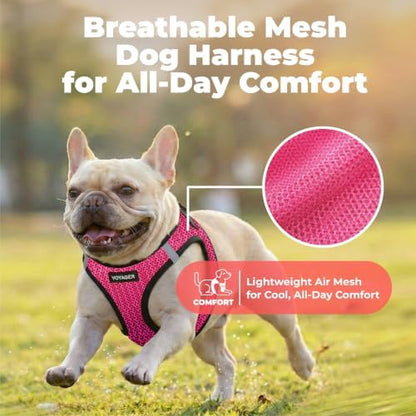 Voyager Step-in Air Dog Vest Harness - Fuchsia 2-Tone, Medium