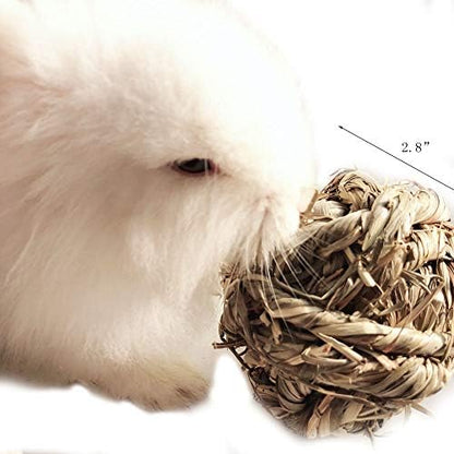 Hamiledyi Rabbit Chew Ball Timothy Grass Grinding Bunny Chew Toys 3PCS