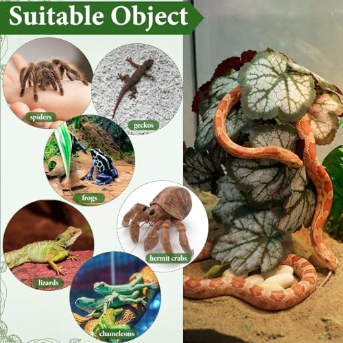 Suncalla 4 Pack Reptile Plants for Terrarium Decor, Snake Tank Accessories, Amphibian Habitat Decor, and Artificial Plants with Base for Bearded Dragon, Gecko, Lizard, Chameleon (Multiple)