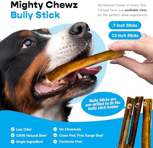 7" Thick Bully Sticks (5 Pack) with Bully Stick Safety Device - No Choking/All Natural Pizzle Sticks and Bully Stick Holder