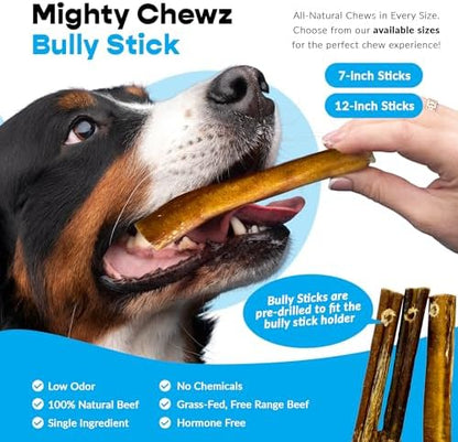 7" Thick Bully Sticks (5 Pack) with Bully Stick Safety Device - No Choking/All Natural Pizzle Sticks and Bully Stick Holder