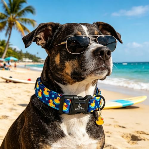 Lionheart glory Dog Collar Ducky Pattern Cute Collar for Medium Dogs Spring Summer Boy Dog Collars Pet Gift Adjustable Heavy-Duty Puppy Collars