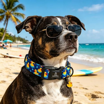 Lionheart glory Dog Collar Ducky Pattern Cute Collar for Medium Dogs Spring Summer Boy Dog Collars Pet Gift Adjustable Heavy-Duty Puppy Collars