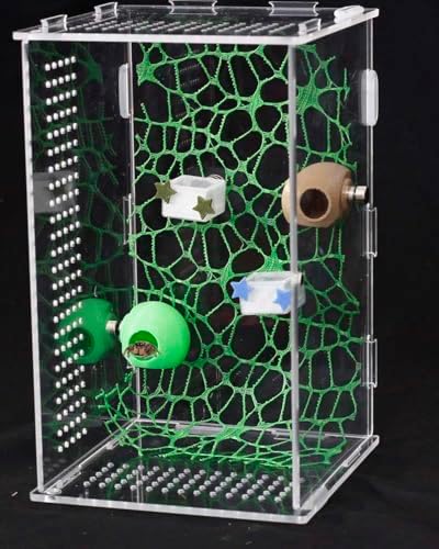 3 Pcs Magnetic Jumping Spider Feeding Dish Jumping Spider Enclosure Accessories Star-Shaped Design Reptile Water Bowl for Other Small Reptiles or Insects