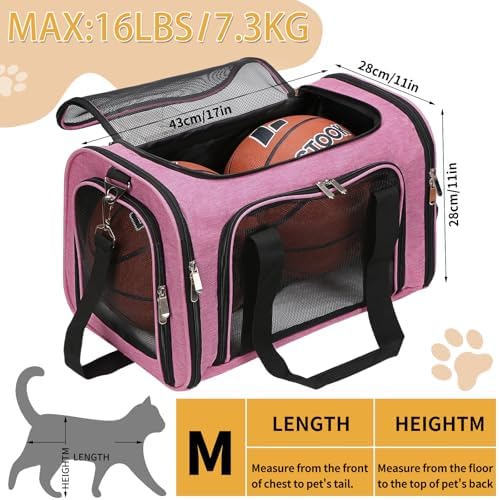 Soft-Sided Cat/Dog/Pet Carrier, Collapsible Pets Travel Carriers