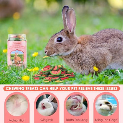 KATUMO Bunny Chew Toys, Rabbit Snacks Timothy Hay Treats for Guinea Pig