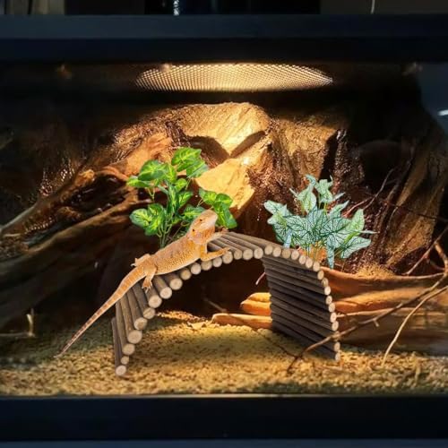 BNOSDM Reptile Hide Set Wooden Bridge Tortoise Hideout Climbing 15.7x5.9in
