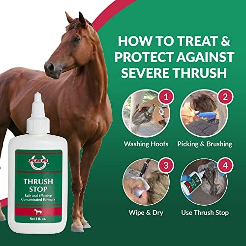SBS Equine Thrush Treatment for Horses for the Finest Horse Care | The Horse-Journal’s Product of The Year and #1 Pick Against Hoof Thrush (4 Fluid Oz)