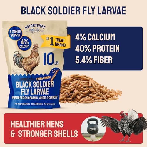 Hatortempt 10lb Black Soldier Fly Larvae for Chickens, Calci Chicken Treats