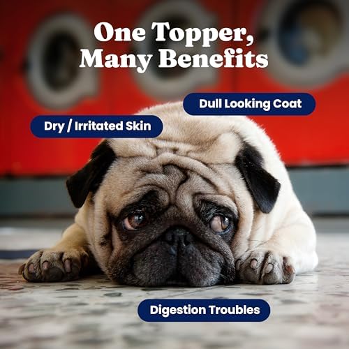 Solid Gold Dog & Cat Multivitamin Powder, Omega 3 & Kelp, Skin & Coat, 5oz