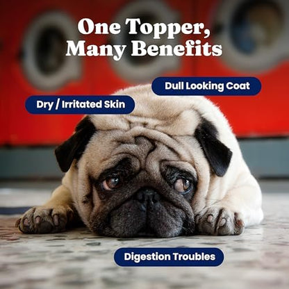 Solid Gold Dog & Cat Multivitamin Powder, Omega 3 & Kelp, Skin & Coat, 5oz