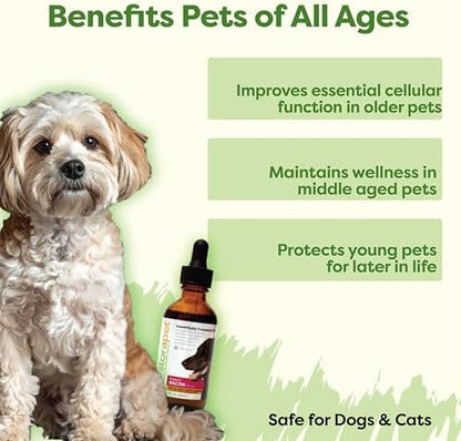 RestoraPet 1-Pack Dog & Cat Antioxidant Liquid | Daily Wellness Multivitamin | Hip & Joint Support - Anti Inflammatory Supplement for Dogs & Cats | Plant-Based, Non-GMO, Vet Approved