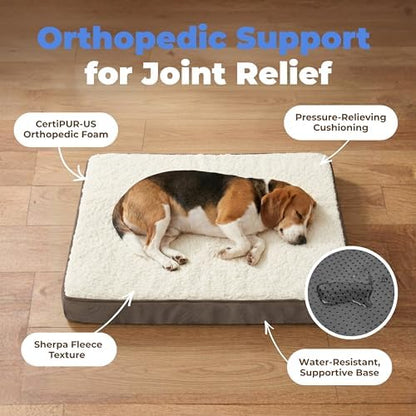 Best Pet Supplies Orthopedic Dog Bed with Memory Foam, Washable Dog Crate Mat for Small, Medium & Large Dogs, Thick Mattress for Crates, Kennels or Floor, Waterproof Pet Bed - Brown, 35 x 22 x 4