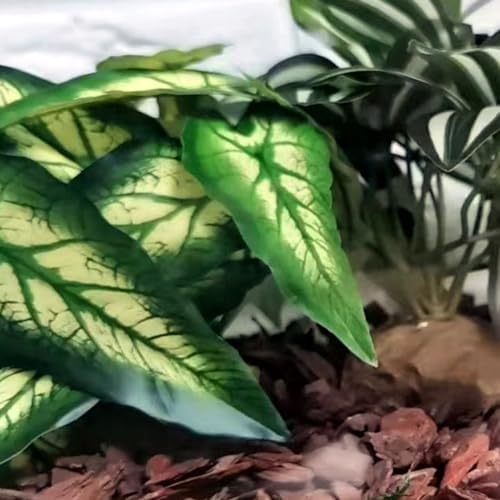 Reptile Plants for Terrarium, Reptile Tank Decor,Artificial Plants