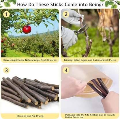 1000g Organic Apple Sticks Small Animals Molar Wood Treats Toys for Chinchillas Guinea Pig Rabbits Hamster Gerbil Parrot Bunny Chew Stick Toys, 35.3 OZ