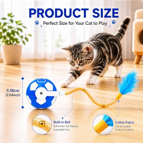 Cat Enrichment Toy, Chase Toy for Bored Indoor Adult Cats