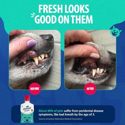 Dental Fresh Original Daily Care Water Additive for Dogs & Cats, 32 fl oz