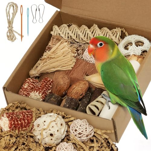 Bird Toys Parrot Foraging Box Parakeet Toys with DIY Hanging String