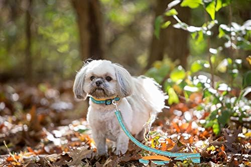 NFL Miami Dolphins Dog & Cat Leash - Medium, Shiny & Colorful with Embroidered Team Name/Logo Licensed by the NFL