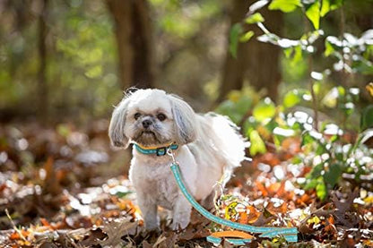 NFL Miami Dolphins Dog & Cat Leash - Medium, Shiny & Colorful with Embroidered Team Name/Logo Licensed by the NFL
