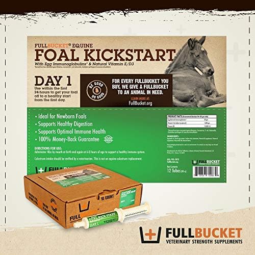Fullbucket Health Foal Kick Start Immune Paste 80ml (Pack of 2)