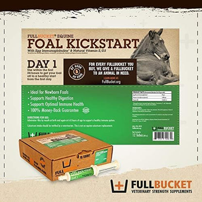 Fullbucket Health Foal Kick Start Immune Paste 80ml (Pack of 2)