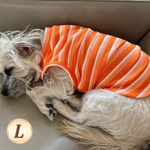 KYEESE 2Pack Waffle Dog Shirt for Small Dogs Striped Dog Sweater Tank Top