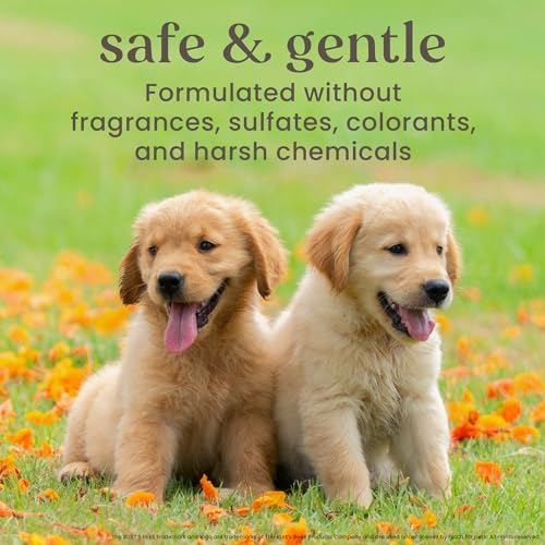 Burt's Bees for Pets Itch Soothing Dog Spray, Honeysuckle Aloe, 10 Oz, 6-Pk