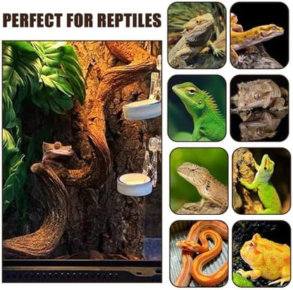 BNOSDM 3PCS Natural Reptile Climbing Branches Decor,1.8-2.2" Thick Natural Snake Climbing Forest Wood with Plant Leaf Decor,Lizard Forest Branch,Geckos Tank Tree Trunk Accessories for Bearded Dragons