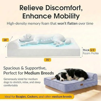 5.5 Inch Thick High Grade Orthopedic Memory Foam Dog Bed With Pillow and Easy to Wash Removable Cover with Anti-Slip Bottom. Free Waterproof Liner Included - for Medium and Large Breed Dogs - Grey