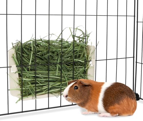 Hypeety Rabbit Hay Feeder Automatic Hay Rack for Guinea Pigs, White