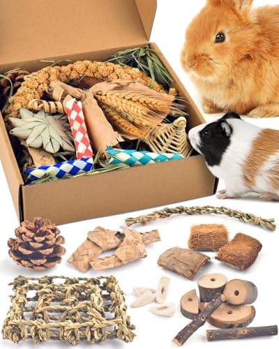 Bissap Rabbit Chew Toy, Natural Bunny Treats Snacks with Timothy Hay Water Grass Mat Coconut Husk Box for Guinea Pigs Chinchillas Hamsters Gerbils and Other Small Pets Teeth Grinding