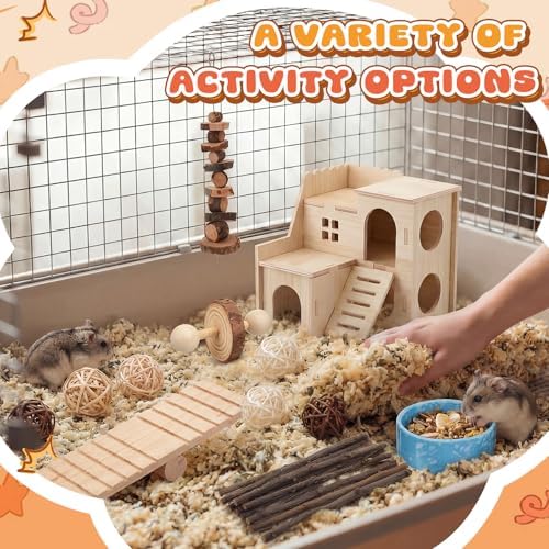 40 Pcs Hamster Cage Accessories Exercise Wheel,Fun Style