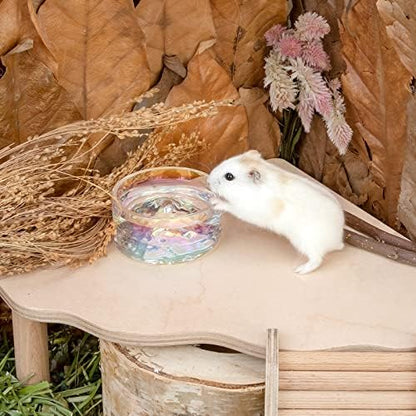 Niteangel Hamster Feeding & Water Bowl- 50ml Capacity & No Wet Fur for Pet