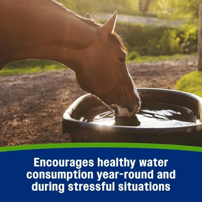 Farnam Apple Elite Horse Electrolytes Powder Supplement, 160 Day Supply