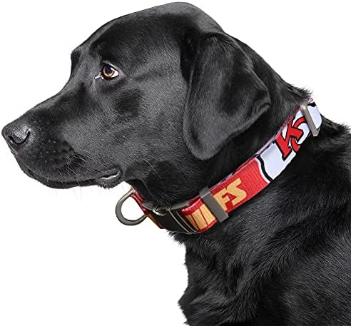 Littlearth NFL Detroit Lions Pet Premium Collar, Team Color, Small
