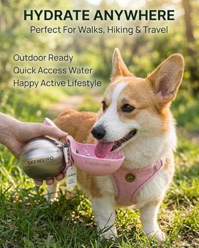 The 2-in-1 Dog Water Bottle & Bowl 2026 New Portable Trave Pet Dispenser Perros Silicone Water Ball Spill Proof Container Design on Walks Walking Hiking Insulated Round Botella Animal (Blue)