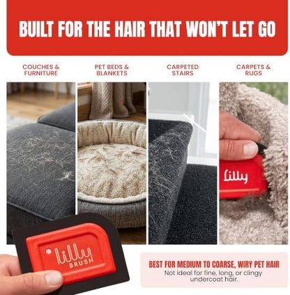Lilly Brush Mini Pet Hair Detailer | Reusable Fur Remover for Car Interior, Carpet, Couch & Furniture