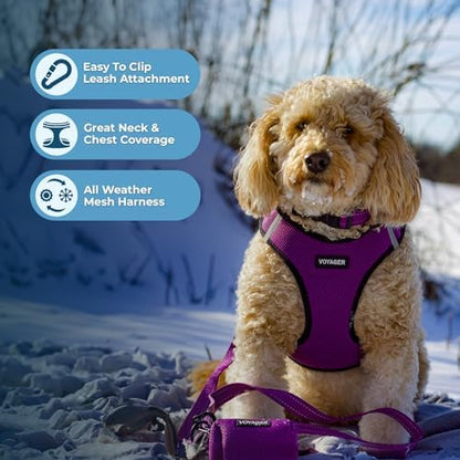 Voyager Step-in Air Dog Vest Harness - Purple/Black Trim, X-Large