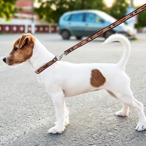 Old Version- NFL Pet Leash, Small, Arizona Cardinals Dog Leash, Football Team Leash for Dogs & Cats. A Shiny & Colorful Dog & Cat Leash with Embroidered Team Name/Logo Licensed by The NFL